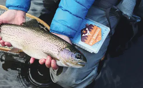 Plataforma de gestión de pases de pesca
